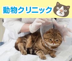 動物クリニック